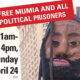 Free Mumia Abu-Jamal